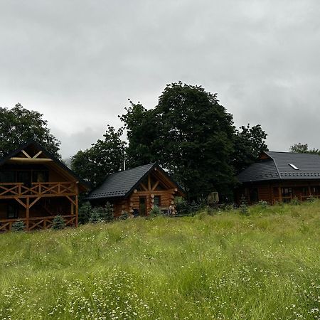 Chalet Pidstromom Mykulychyn Exterior foto