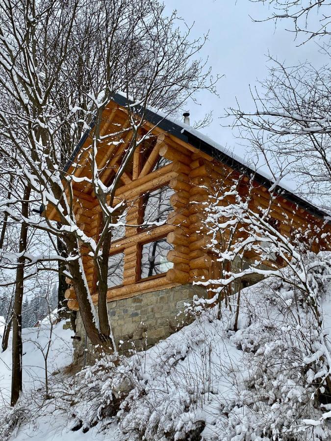 Chalet Pidstromom Mykulychyn Exterior foto